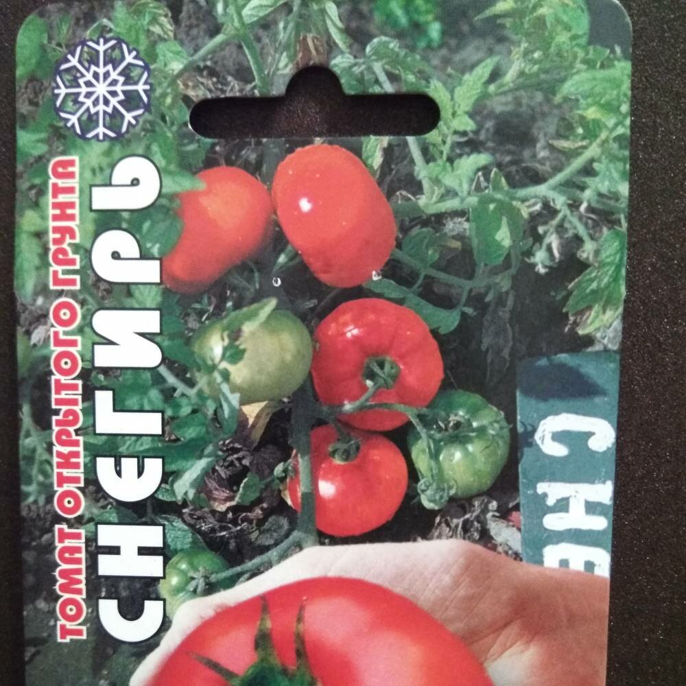 Томат "ультраскороспелый" f1: характеристика и описание раннеспелого парникового вида помидор, выращивание и фото плодов русский фермер