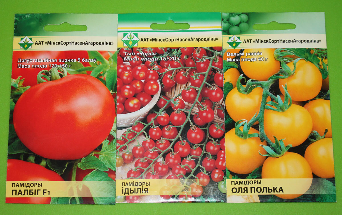 Томат улиссе: характеристика и описание сорта, урожайность с фото