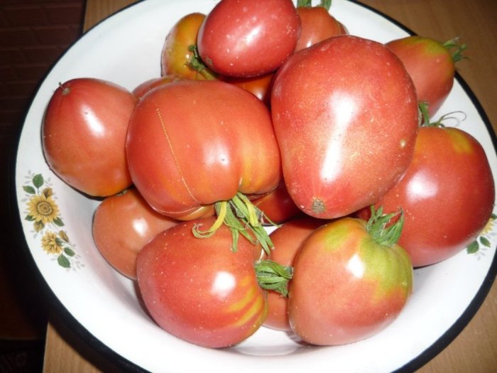 Где и как лучше выращивать томат «розовый мед»