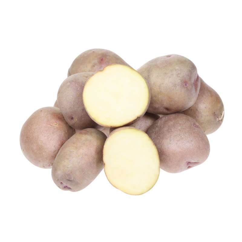 Картофель жуковский ранний: описание сорта, фото, отзывы