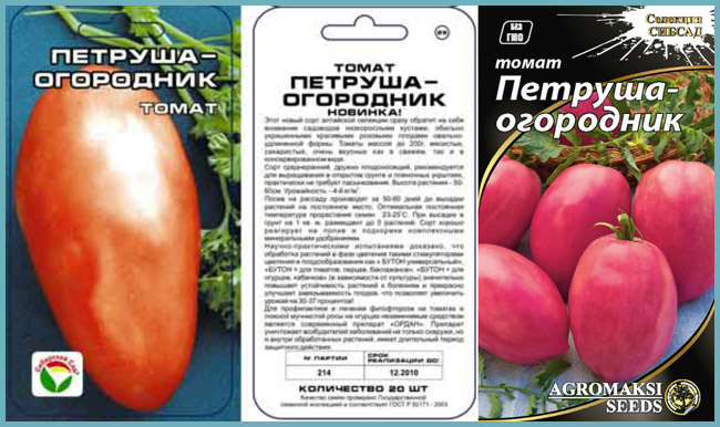 Описание сорта томата Петруша огородник, его характеристика и урожайность