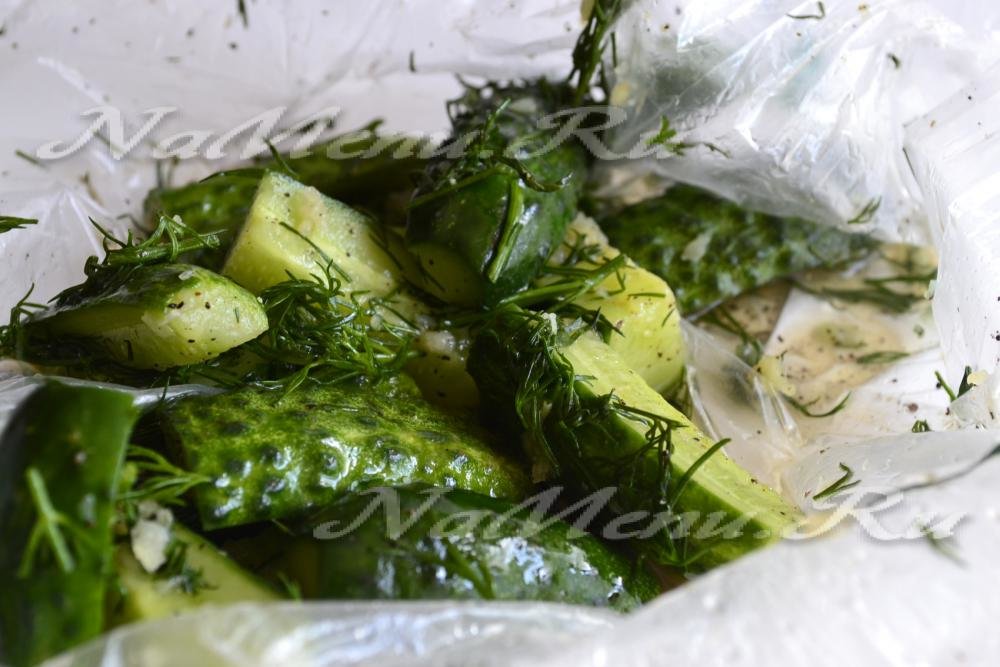 Готовим малосольные огурцы в пакете с зеленью укропа и чесноком — удобно, быстро, вкусно
