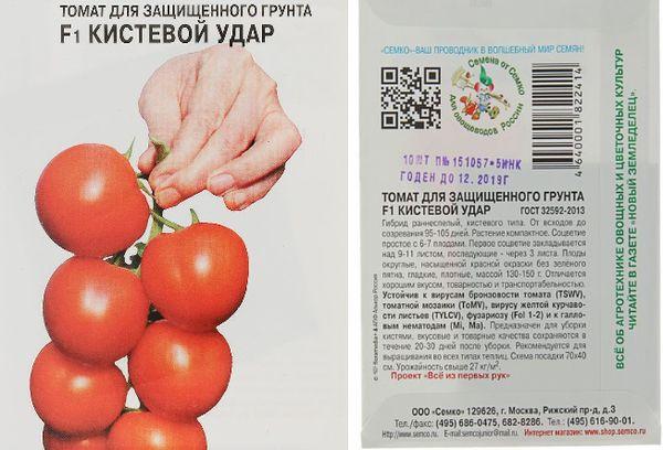 Характеристика сорта томата Кистевой удар и агротехника выращивания