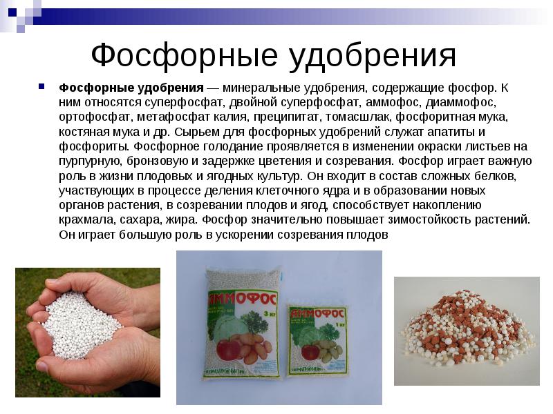 Виды и применение калийно-фосфорных удобрений