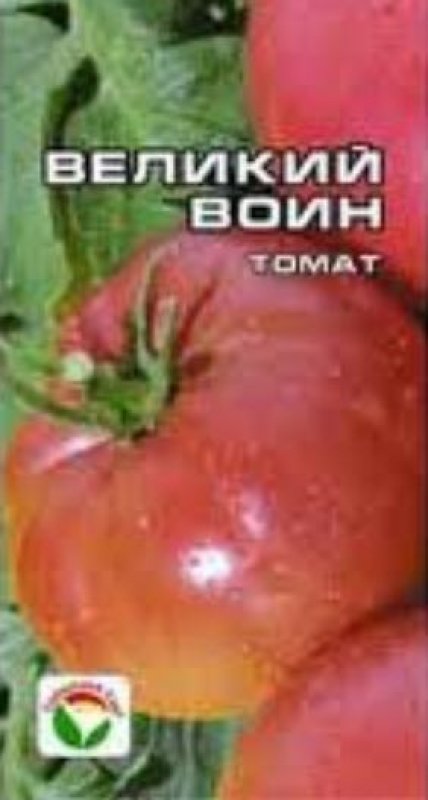 Сорт томата великий воин фото и описание
