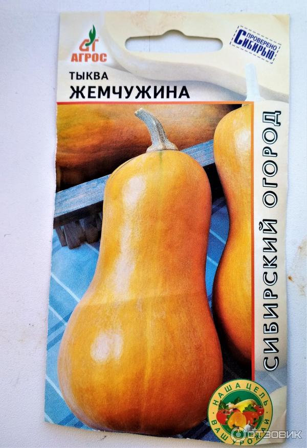 Лучшие сорта мускатной тыквы с фото и описаниями на 2019-2020 г.