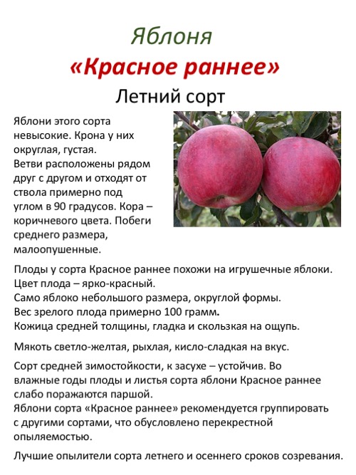 Сорта яблонь для средней полосы россии: описание, фото, отзывы