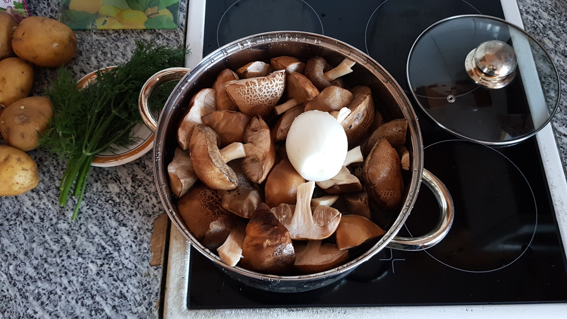 Вкусная засолка белых грибов в домашних условиях