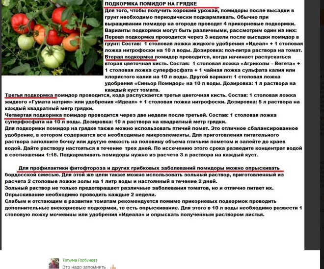 "корневин, сп" (5 г): инструкция по применению для растений - sadovnikam.ru