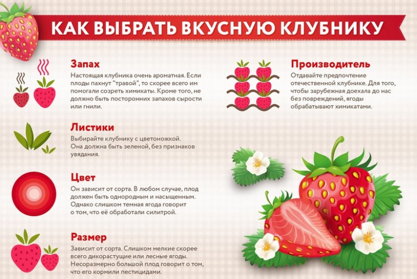 Польза и вред клубники для здоровья человека, противопоказания к употреблению