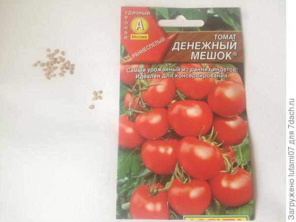 Выращивание помидоров в мешках — пошаговая инструкция: как посадить и собрать урожай, отзывы, фото, описание