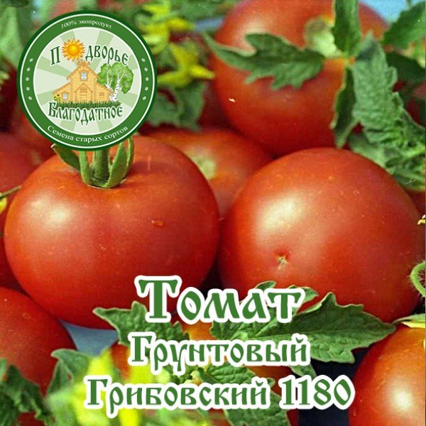 Характеристика и описание сорта томата грунтовый грибовский - всё про сады