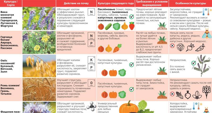 Сидераты для картофеля: какие выбрать, какие лучше сеять осенью и весной, рекомендации