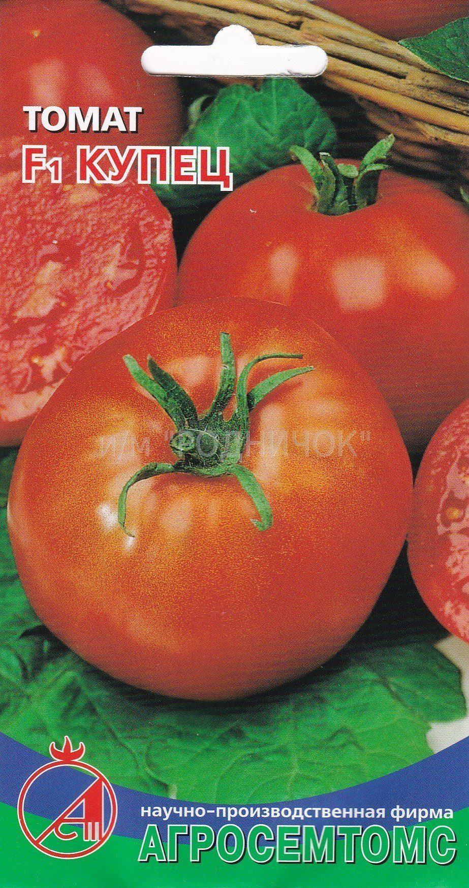 Лучшие крупноплодные томаты: сорта и гибриды