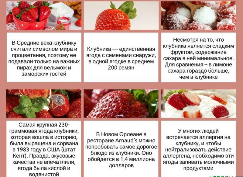 ? клубника: польза, вред и калорийность | food and health