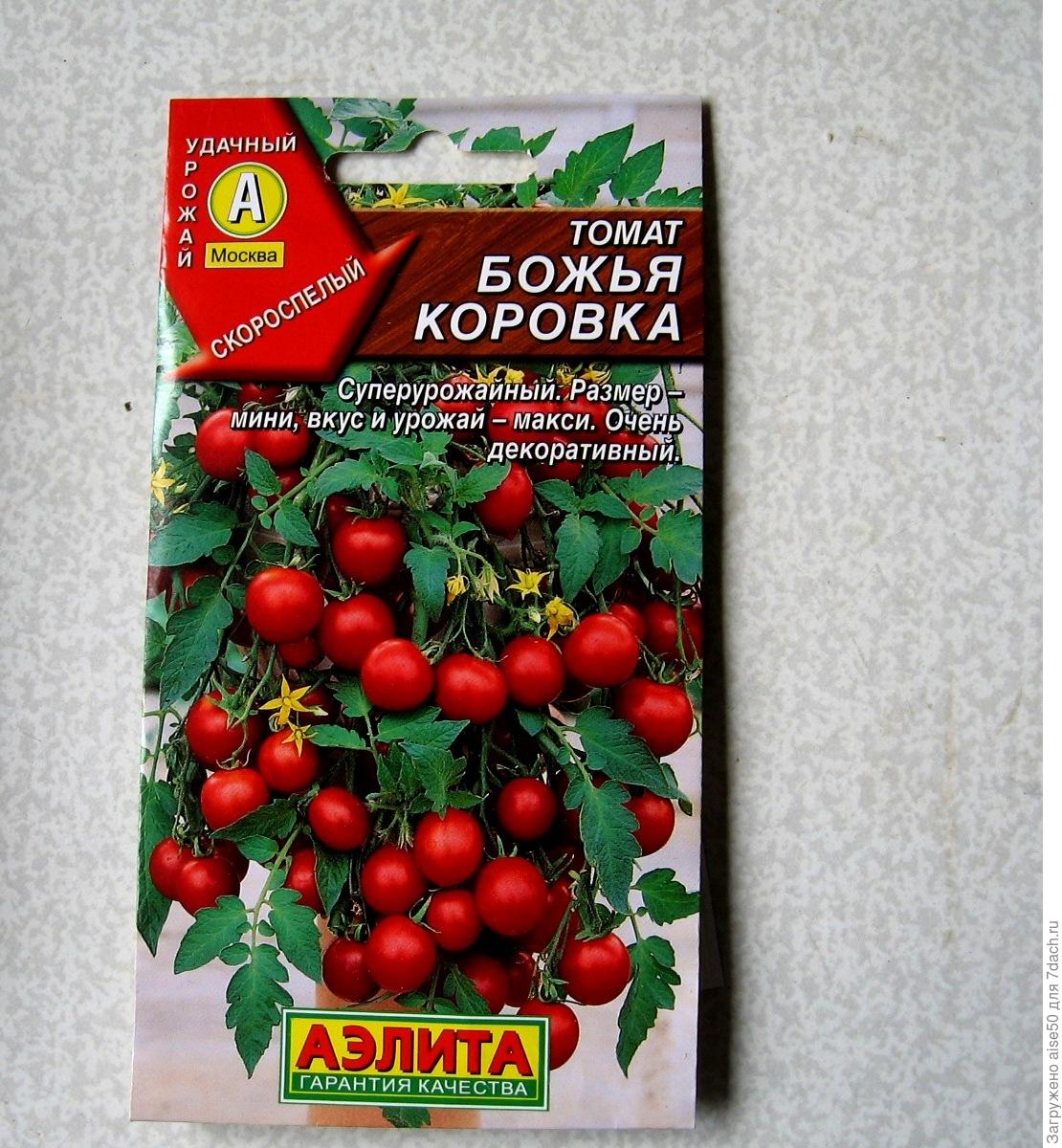 Томат новичок розовый: характеристика и описание сорта, фото, отзывы, посадка и уход