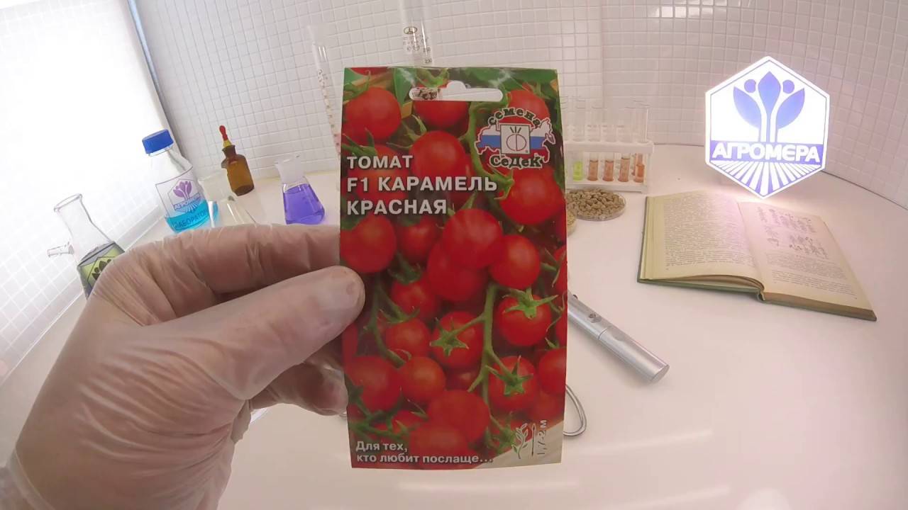 Помидоры "американские ребристые": описание плодов, урожайность, фото томатов, подверженность вредителям русский фермер
