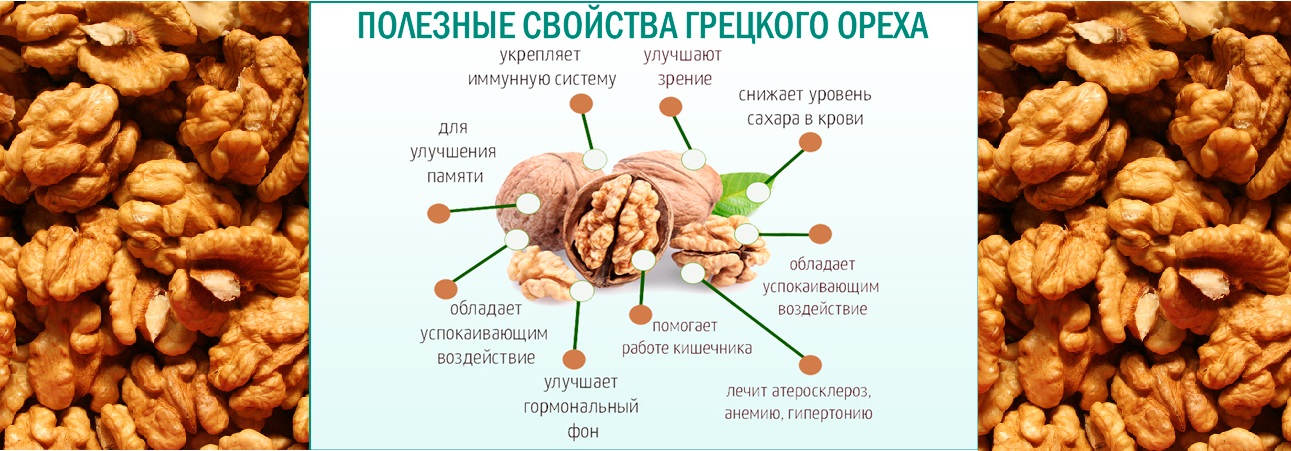 Грецкий орех для нашего организма (польза и вред) +отзывы