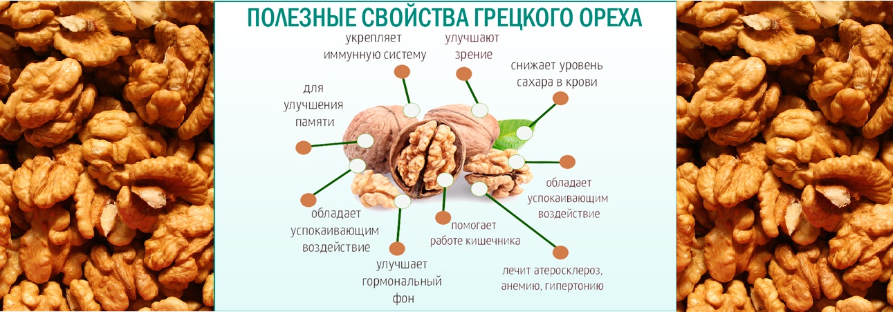 Можно собаке грецкий орех. Орех грецкий. Чем полезен грецкий орех. Грецкий орех польза. Грецкий орех полезные свойства.