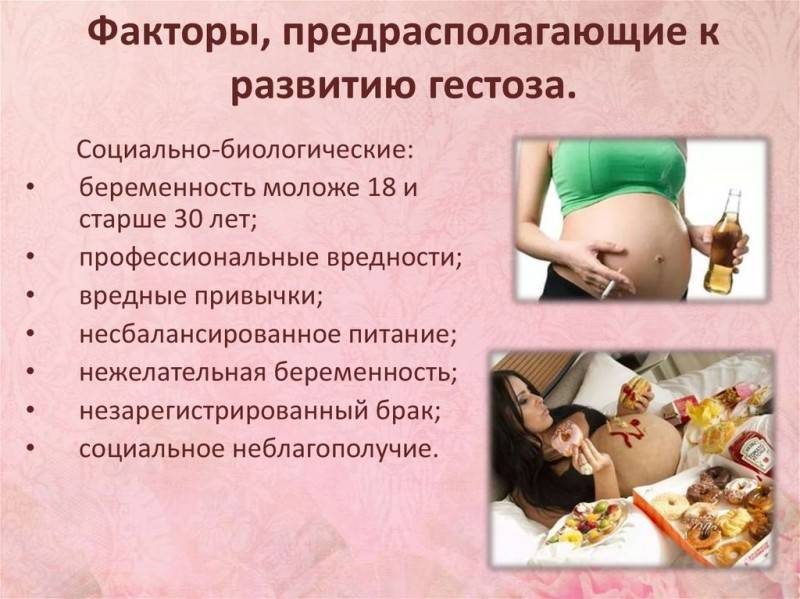 Польза и вред петрушки при беременности на ранних и поздних сроках, в каких случаях запрещено употреблять зелень