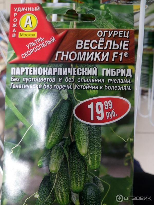 Лучшие сорта огурцов для открытого грунта и теплицы