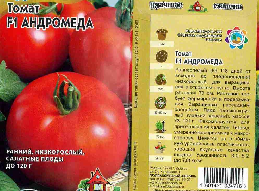 Описание и характеристики сорта томатов Андромеда, урожайность и выращивание