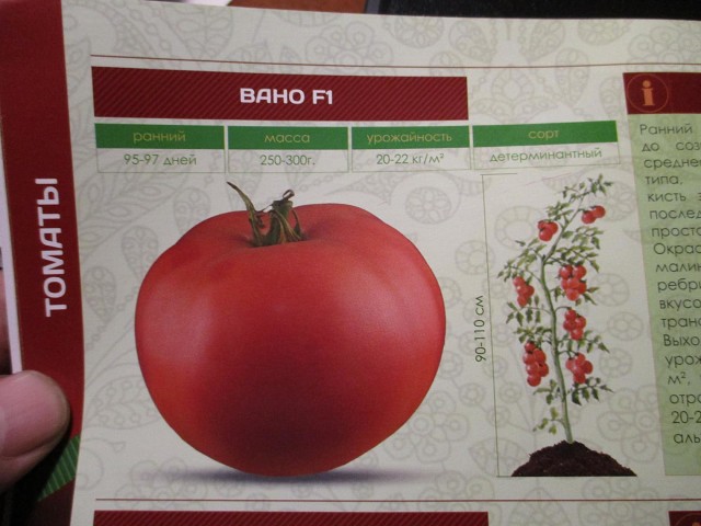Описание детерминантного томата Букет Сибири, выращивание и урожайность