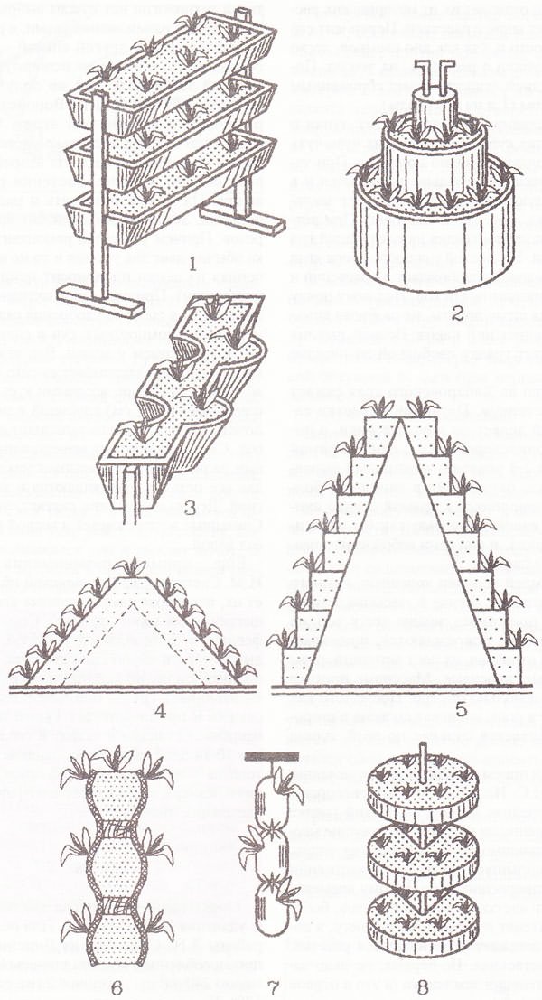 Выращивание клубники в пирамидах - как построить пирамиду самому