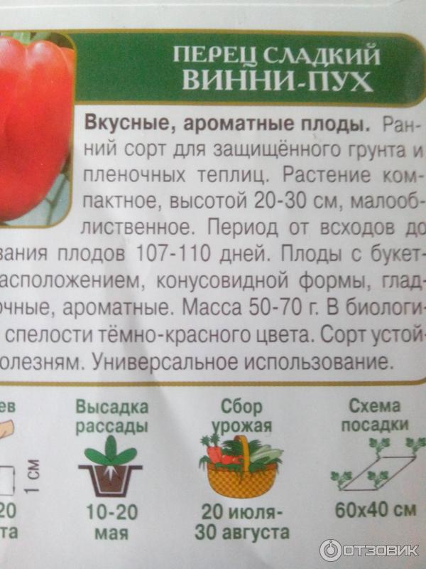 Болгарский сладкий перец на подоконнике: выращивание, уход