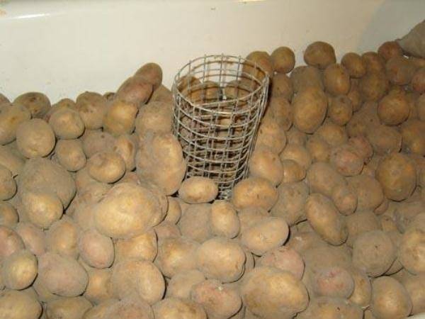 Как сохранить картошку без погреба в частном доме: в подполе на даче, где можно хранить урожай после выкопки, как правильно держать картофель зимой