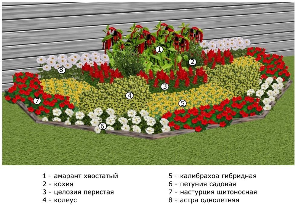 Схема посадки цветов на клумбе