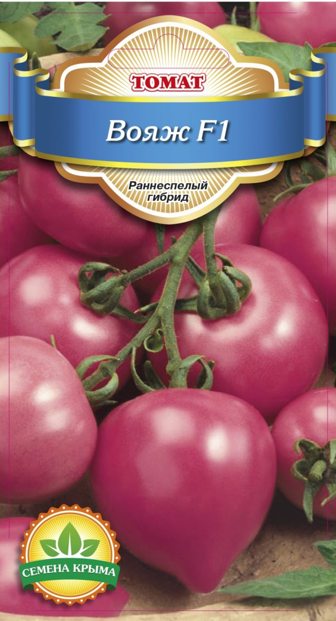 Характеристика и описание сорта томата фенда, его урожайность – дачные дела