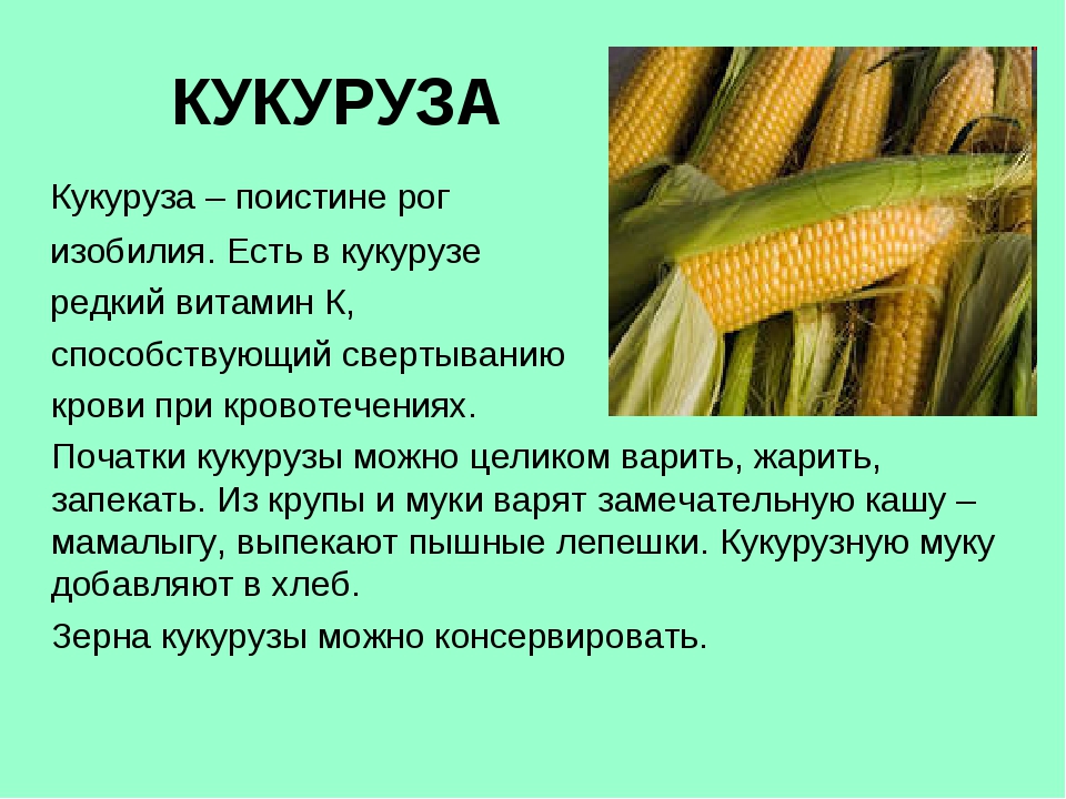 Кукуруза это овощ или злак