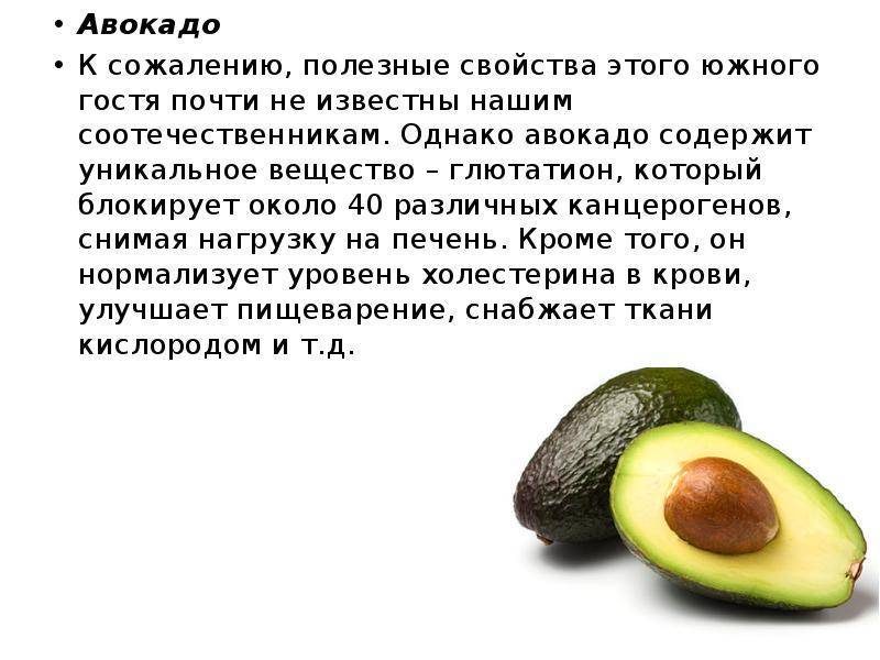 Ꙭ смотреть полезные свойства авокадо для организма и как его употреблять: польза и вред, калорийность | ➤ модные новости reserved