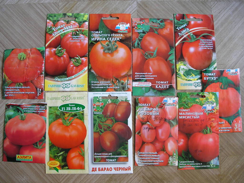 Лучшие сорта томатов для посадки в открытый грунт