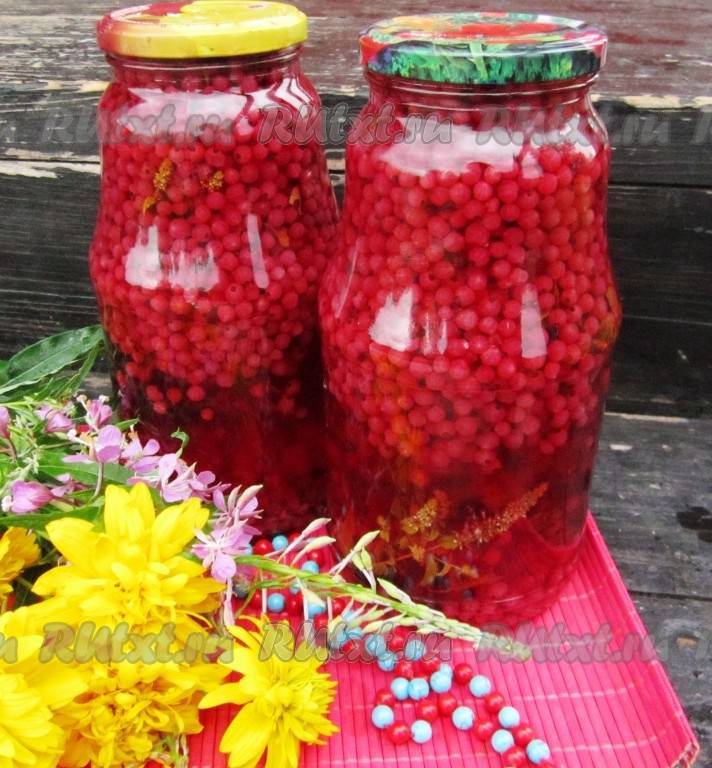 Рецепты вкусного и полезного компота из замороженной смородины