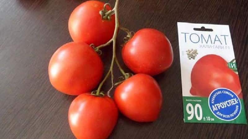 Характеристика и описание гибрида томата санрайз f1, выращивание