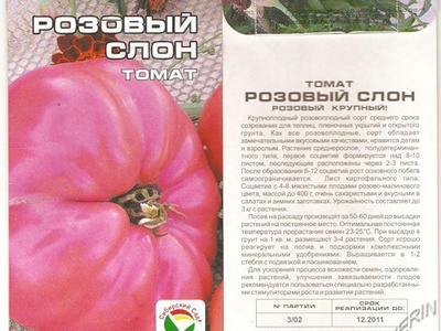 Удивительный томат розовый слон: мясистые плоды и отличный вкус