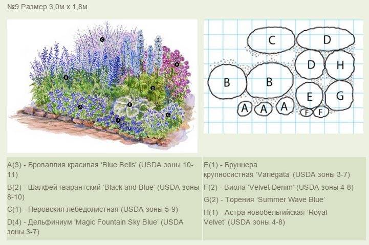 Схемы клумб из многолетников с описанием цветов для начинающих пошагово с фото