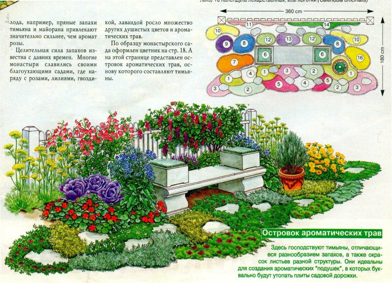 Принципы подбора растений для сада, клумбы, цветника, миксбордера  ✿ энциклопедия ландшафтного дизайна landvis.ru