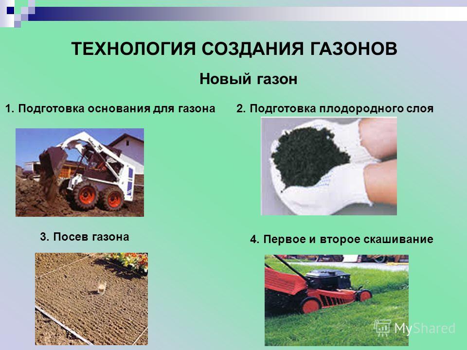 Все о спортивном газоне