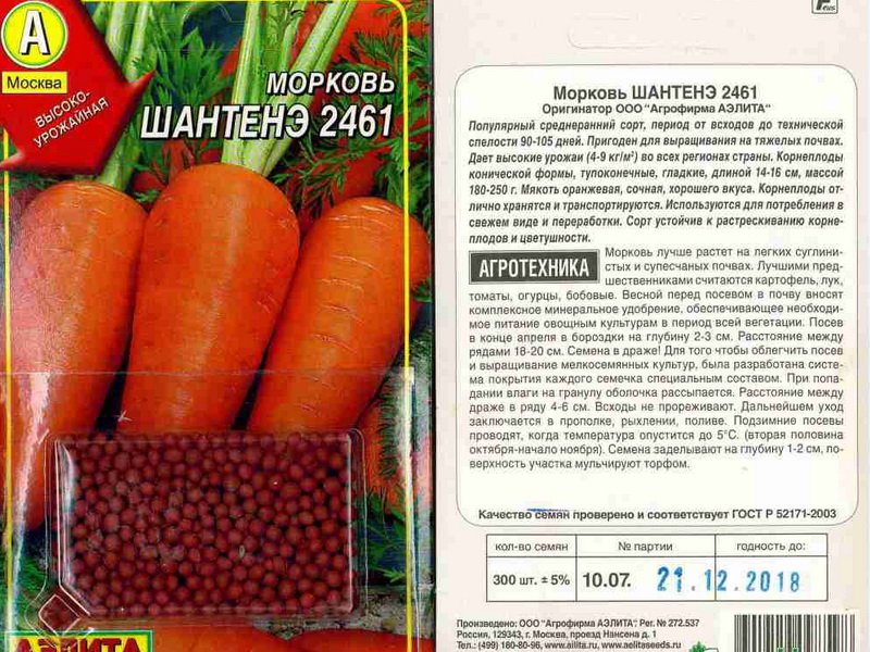Посадка моркови осенью под зиму: сроки в 2021 году, подходящие сорта |