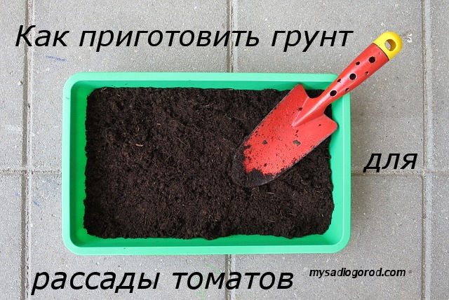 Как подготовить землю для рассады помидор в домашних условиях