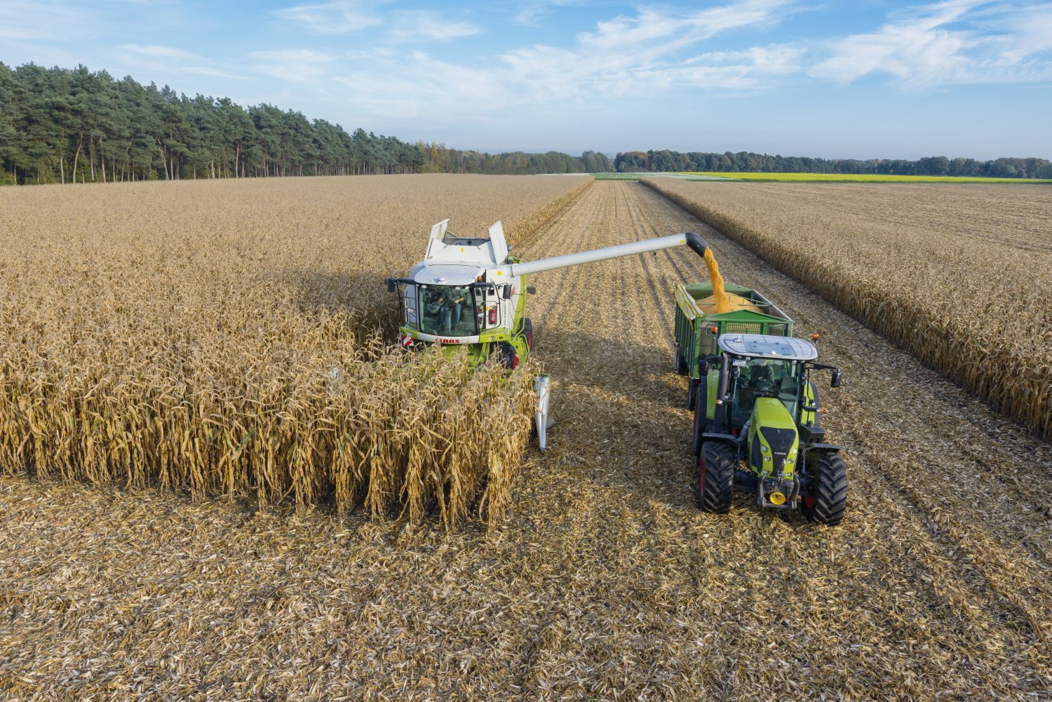 Технология возделывания кукурузы на зерно | fermer.ru - фермер.ру - главный фермерский портал - все о бизнесе в сельском хозяйстве. форум фермеров.