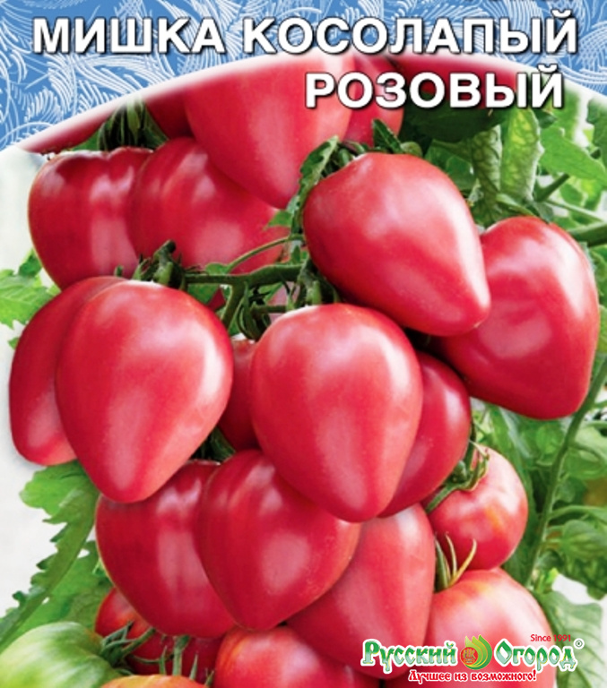 Томат мишка косолапый характеристика и описание сорта - журнал садовода ryazanameli.ru