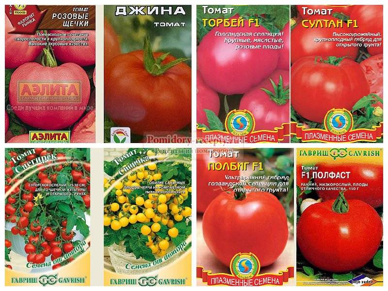 Лучшие сорта помидоров для открытого грунта, с фото и описанием