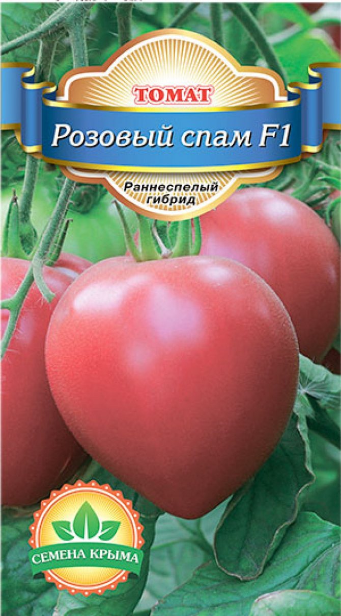 Томат розовый спам: описание и характеристика сорта, особенности посадки и выращивания, отзывы, фото