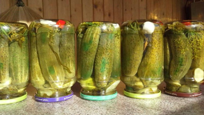Маринованные огурцы с базиликом на зиму: 5 простых рецептов с фото и видео