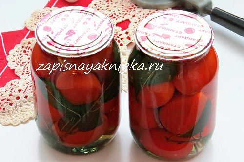 Пошаговые рецепты маринования помидоров с мятой на зиму