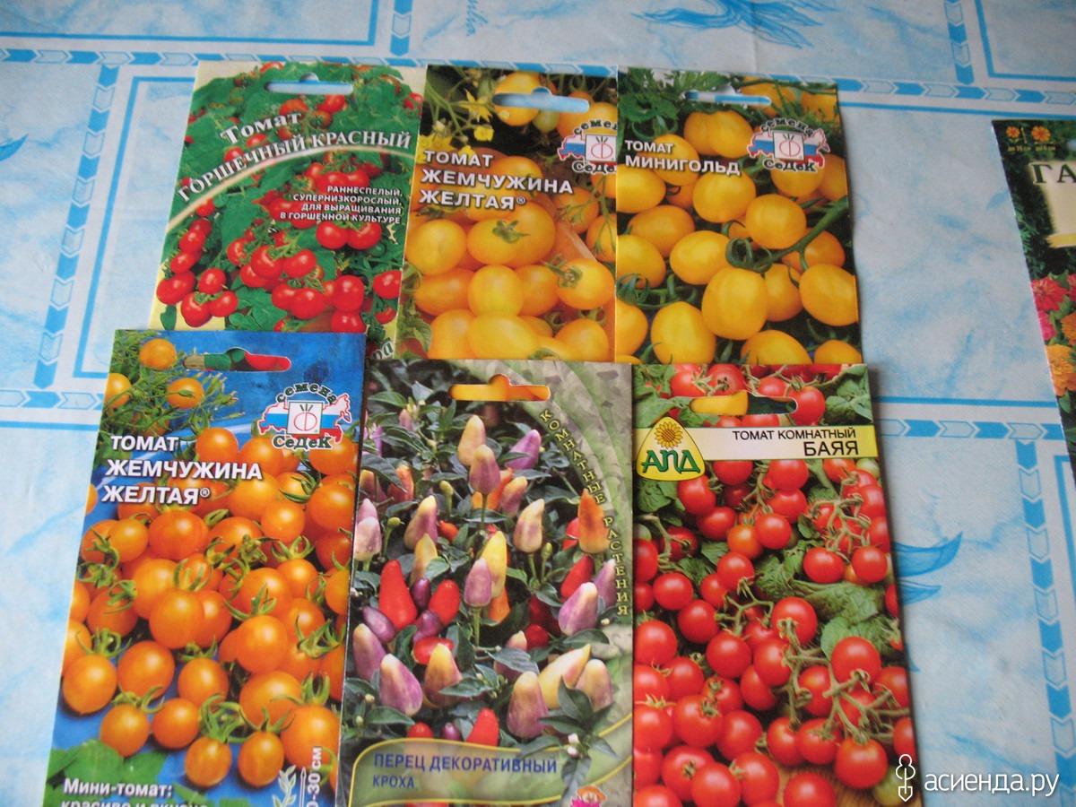 Мелкоплодные сорта томатов с описанием и фото